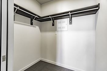 Spacious premium closets